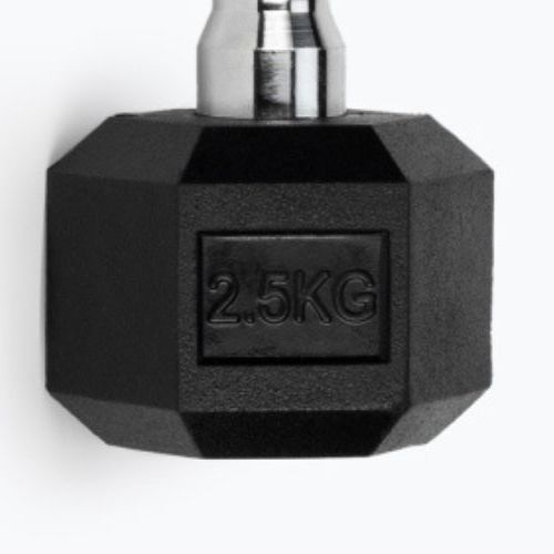 Pogumovaná činka XTREXO Hex HXD200 2,5 kg