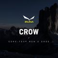 Salewa pánské vysokohorské boty Crow GTX brown 00-0000061328 12